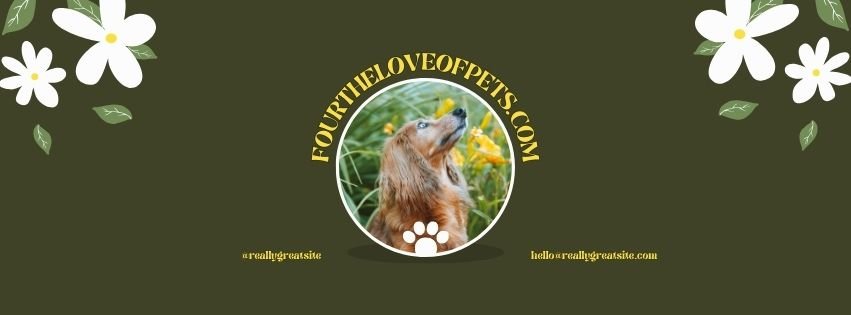 Everything You Need to Keep Your Pet Happy and Healthy